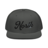 snapback-charcoal-gray-front-645341acc5977.png