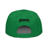 snapback-kelly-green-back-645341acc5d4f.png