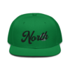snapback-kelly-green-front-645341acc5c41.png
