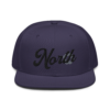 snapback-navy-blue-front-645341acc4fe2.png